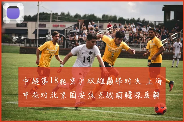 中超第18轮京沪双雄巅峰对决 上海申花对北京国安焦点战前瞻深度解析及胜负预测